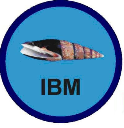 logo IBM Kotor2